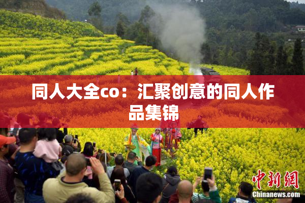 同人大全co：汇聚创意的同人作品集锦