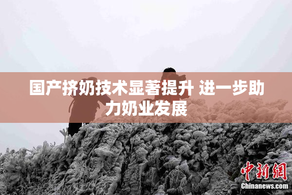 国产挤奶技术显著提升 进一步助力奶业发展