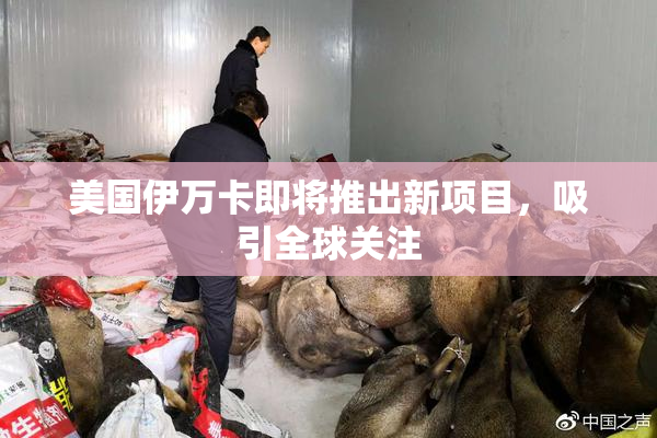 美国伊万卡即将推出新项目，吸引全球关注