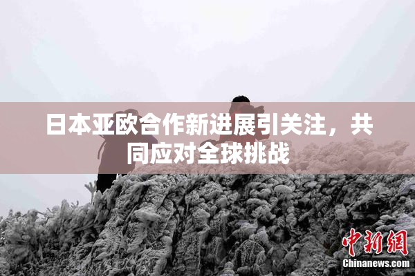 日本亚欧合作新进展引关注，共同应对全球挑战
