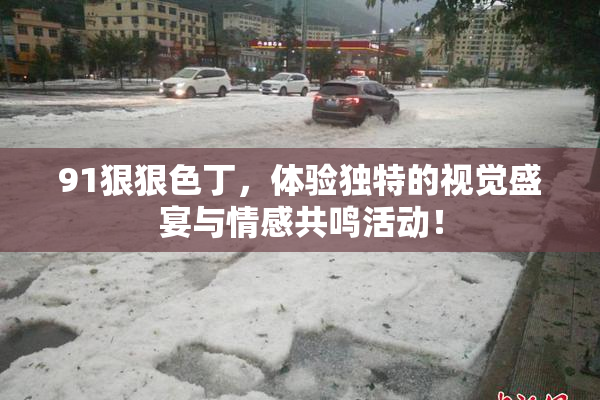 91狠狠色丁，体验独特的视觉盛宴与情感共鸣活动！