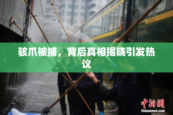 骇爪被捕，背后真相揭晓引发热议