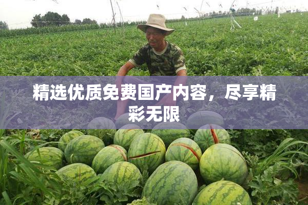 精选优质免费国产内容，尽享精彩无限