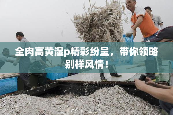 全肉高黄湿p精彩纷呈，带你领略别样风情！