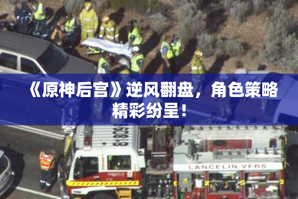 《原神后宫》逆风翻盘，角色策略精彩纷呈！