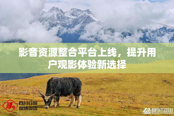 影音资源整合平台上线，提升用户观影体验新选择