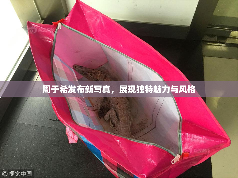 周于希发布新写真，展现独特魅力与风格