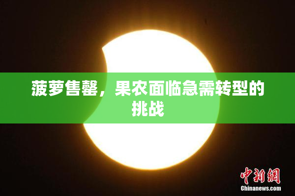 菠萝售罄，果农面临急需转型的挑战