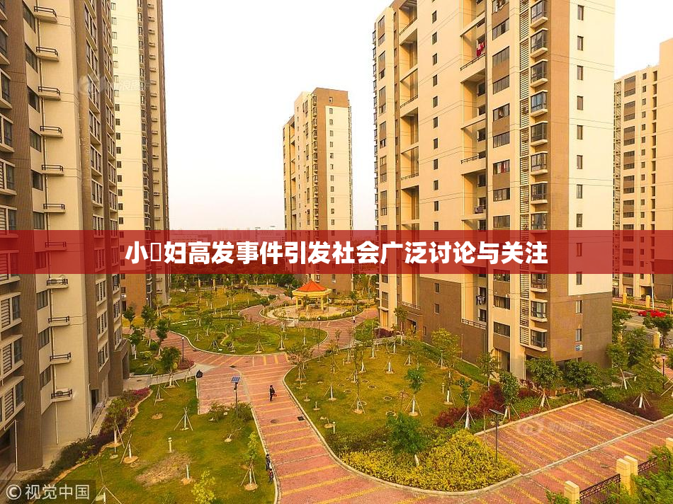 小婬妇高发事件引发社会广泛讨论与关注