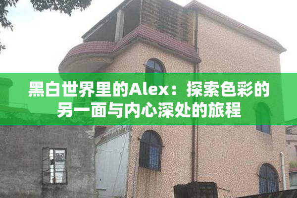 黑白世界里的Alex：探索色彩的另一面与内心深处的旅程