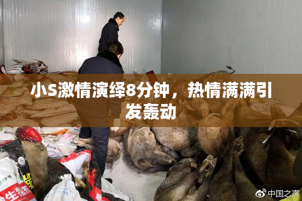 小S激情演绎8分钟，热情满满引发轰动