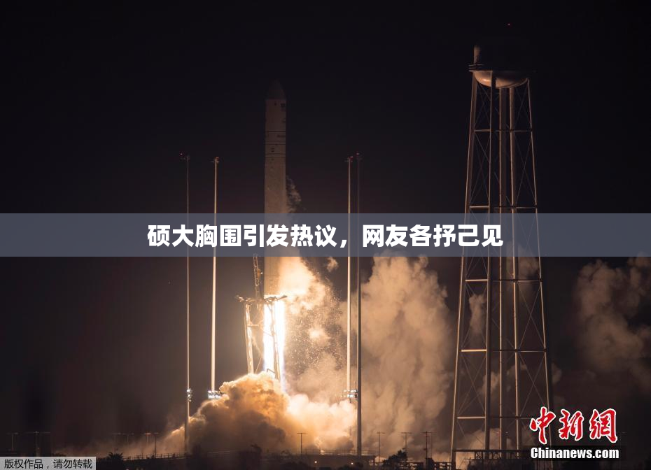 硕大胸围引发热议，网友各抒己见