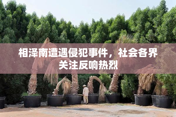 相泽南遭遇侵犯事件，社会各界关注反响热烈