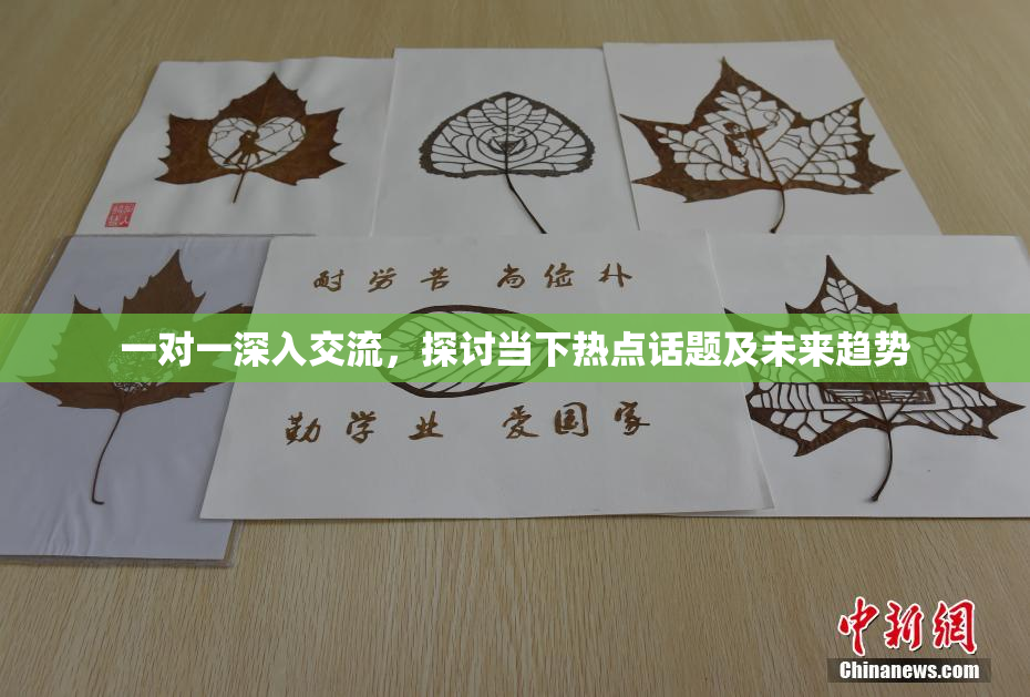 一对一深入交流，探讨当下热点话题及未来趋势