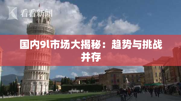 国内9l市场大揭秘：趋势与挑战并存