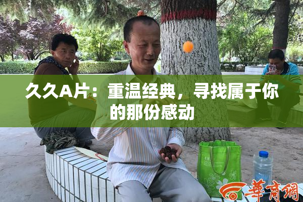久久A片：重温经典，寻找属于你的那份感动