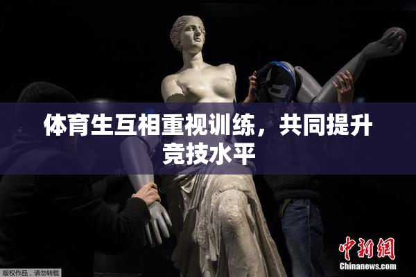 体育生互相重视训练，共同提升竞技水平