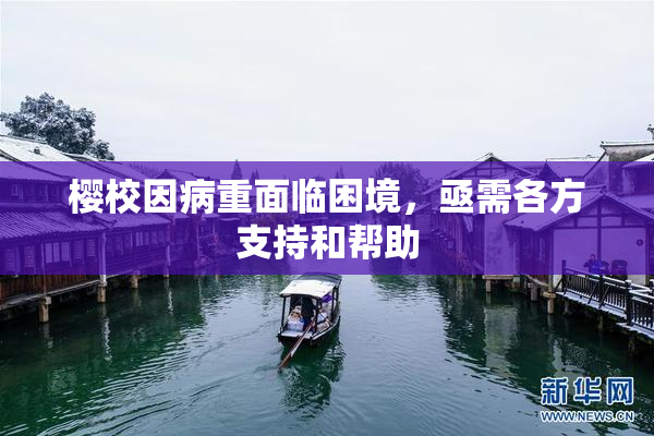 樱校因病重面临困境，亟需各方支持和帮助