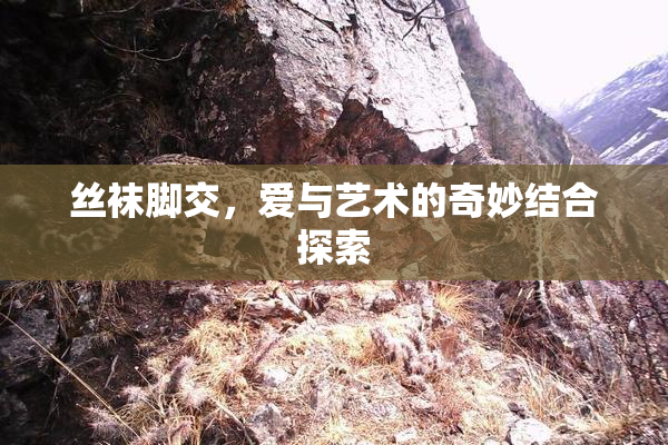 丝袜脚交，爱与艺术的奇妙结合探索
