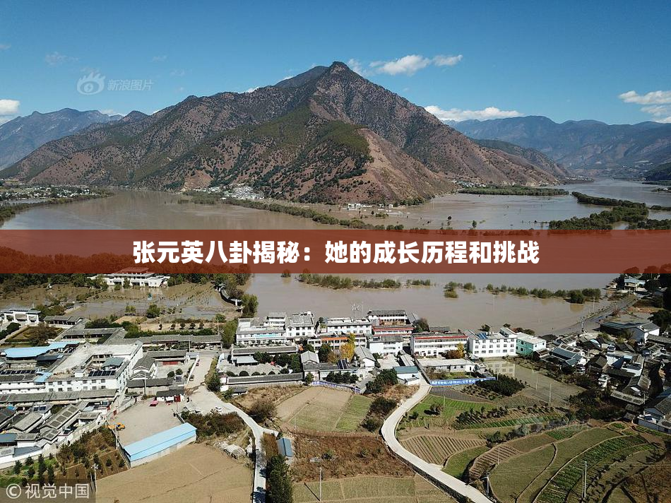 张元英八卦揭秘：她的成长历程和挑战