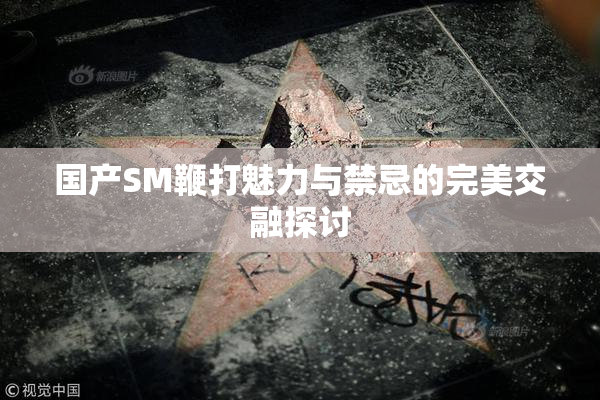 国产SM鞭打魅力与禁忌的完美交融探讨