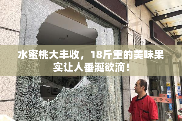 水蜜桃大丰收，18斤重的美味果实让人垂涎欲滴！