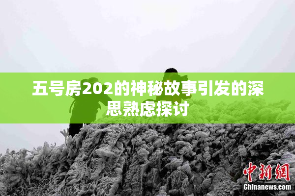 五号房202的神秘故事引发的深思熟虑探讨