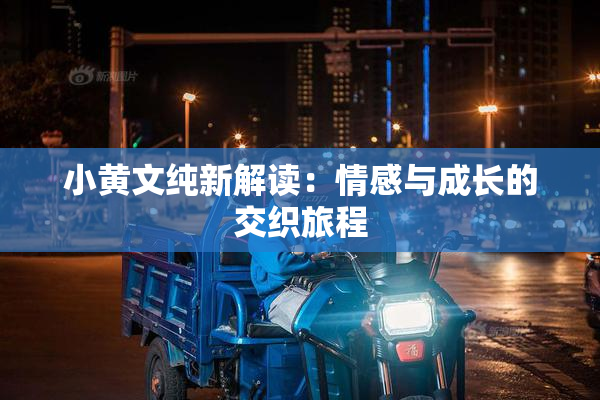 小黄文纯新解读：情感与成长的交织旅程