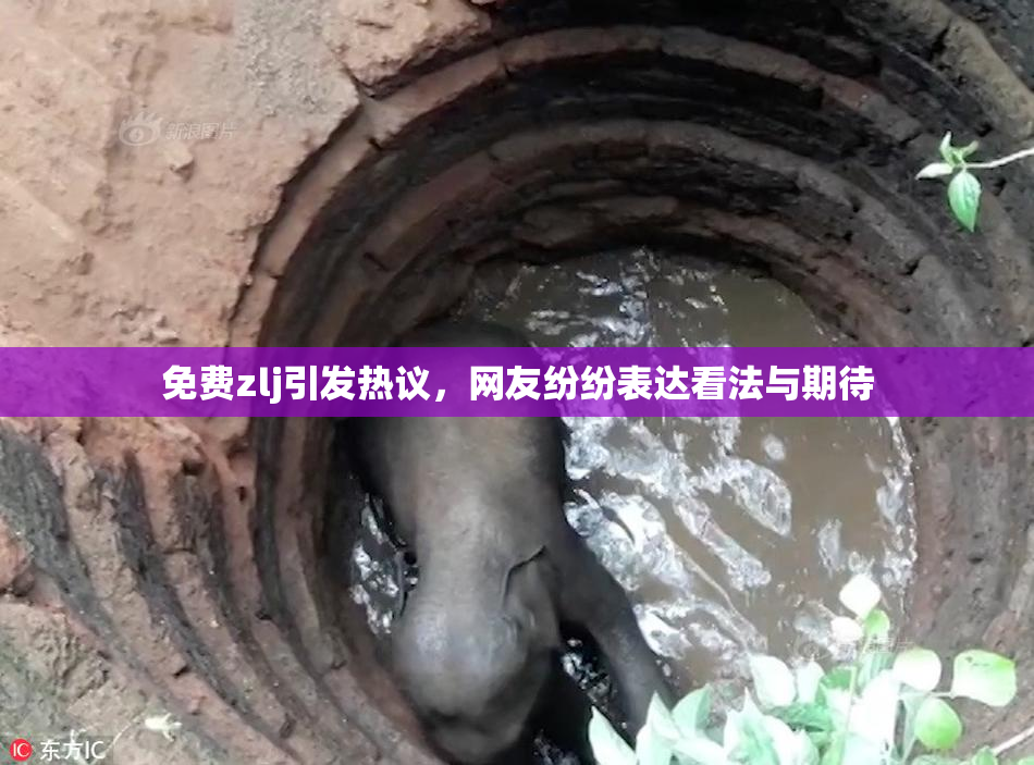 免费zlj引发热议，网友纷纷表达看法与期待