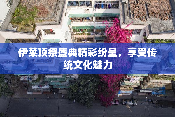 伊莱顶祭盛典精彩纷呈，享受传统文化魅力