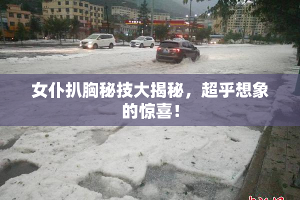 女仆扒胸秘技大揭秘，超乎想象的惊喜！