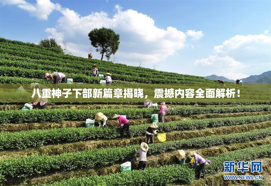 八重神子下部新篇章揭晓，震撼内容全面解析！