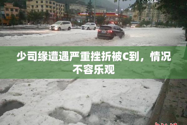 少司缘遭遇严重挫折被C到，情况不容乐观