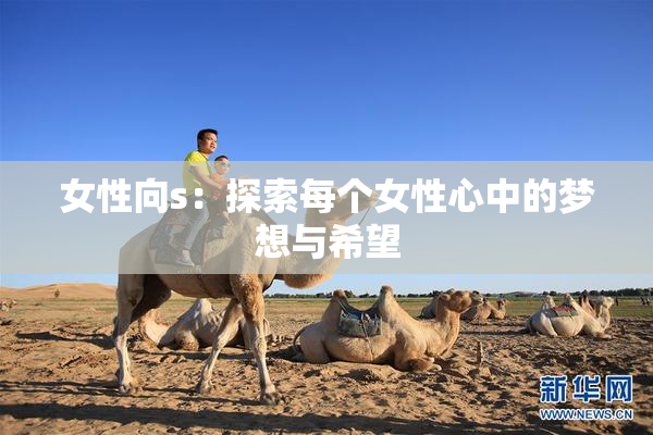 女性向s：探索每个女性心中的梦想与希望