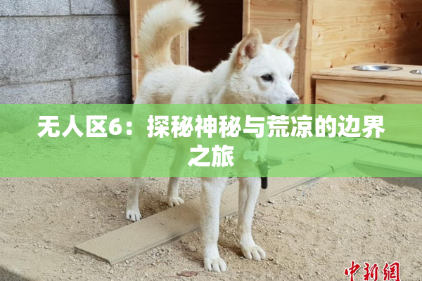 无人区6：探秘神秘与荒凉的边界之旅