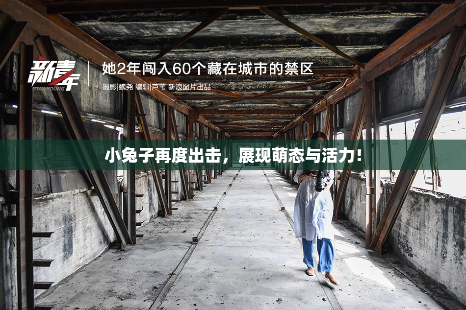 小兔子再度出击，展现萌态与活力！