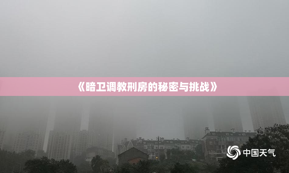 《暗卫调教刑房的秘密与挑战》