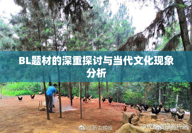 BL题材的深重探讨与当代文化现象分析