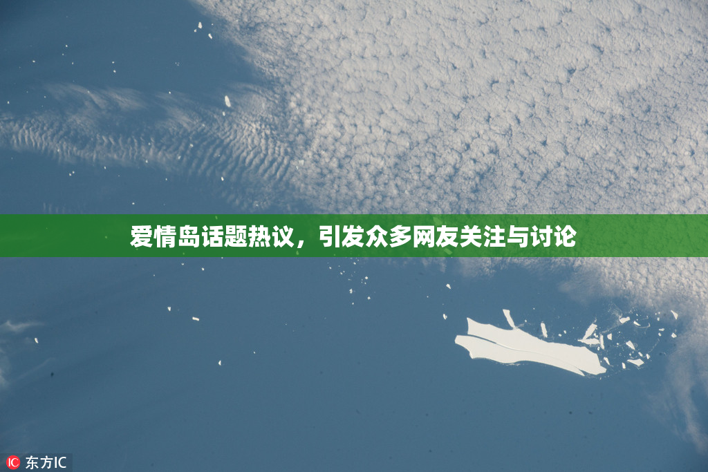 爱情岛话题热议，引发众多网友关注与讨论