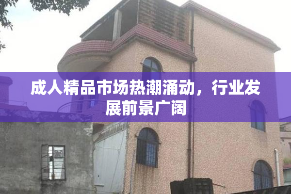 成人精品市场热潮涌动，行业发展前景广阔