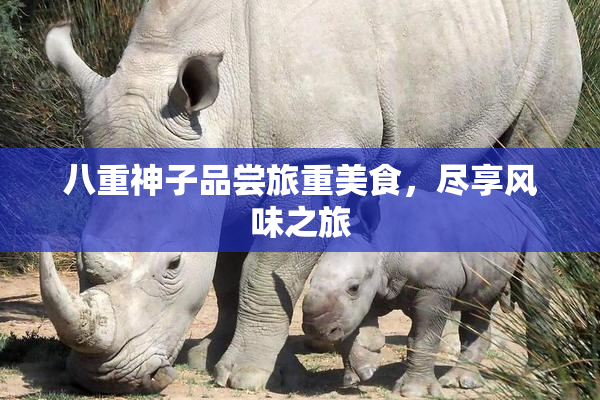 八重神子品尝旅重美食，尽享风味之旅