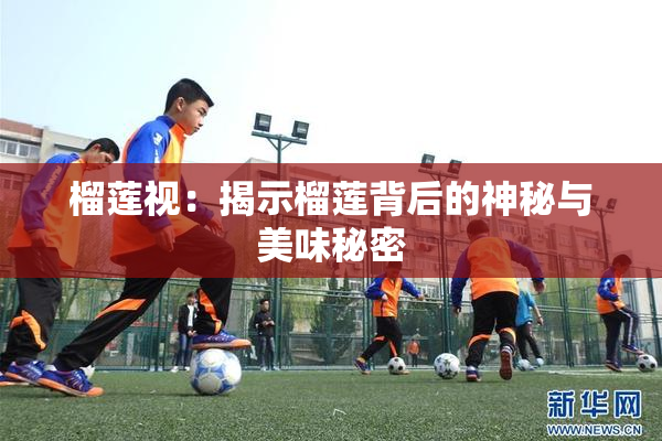 榴莲视：揭示榴莲背后的神秘与美味秘密