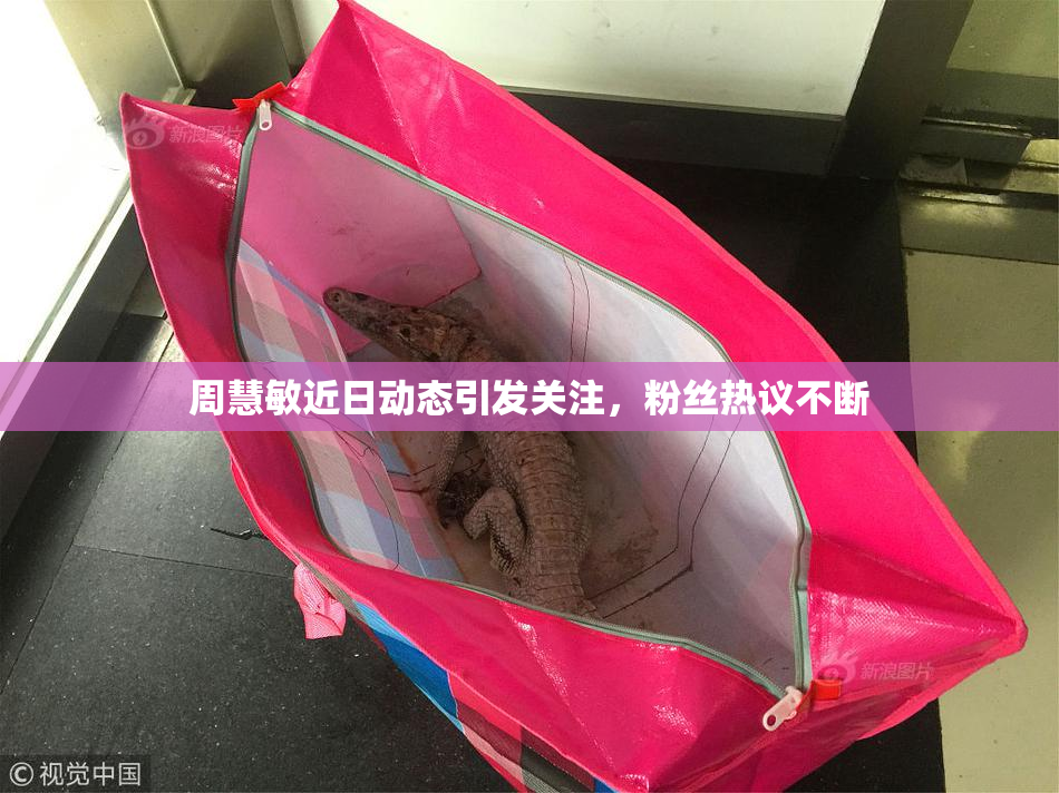 周慧敏近日动态引发关注，粉丝热议不断