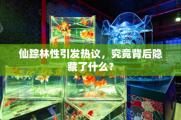 仙踪林性引发热议，究竟背后隐藏了什么？