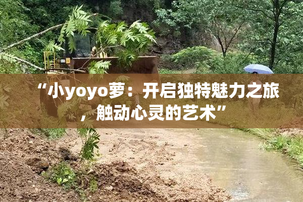 “小yoyo萝：开启独特魅力之旅，触动心灵的艺术”