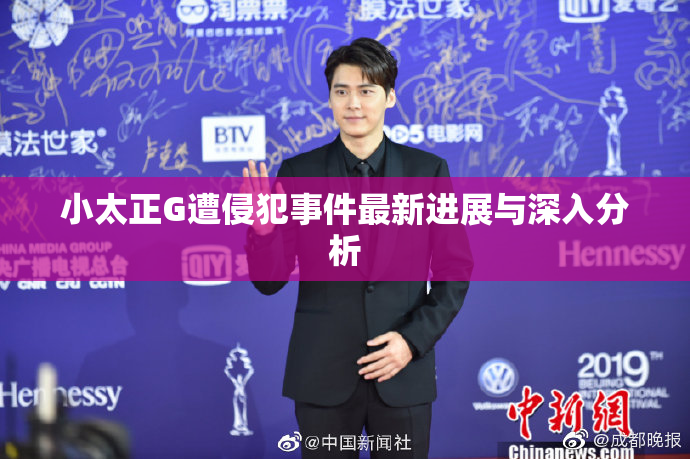 小太正G遭侵犯事件最新进展与深入分析
