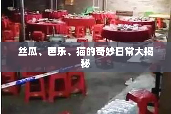 丝瓜、芭乐、猫的奇妙日常大揭秘