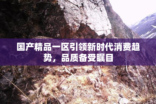 国产精品一区引领新时代消费趋势，品质备受瞩目