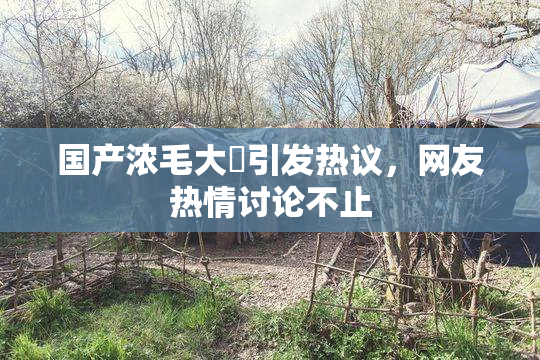 国产浓毛大泬引发热议，网友热情讨论不止