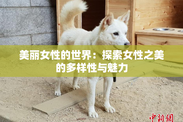 美丽女性的世界：探索女性之美的多样性与魅力